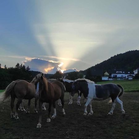 Ferienwohnung Am Tor Zum Thueringer Wald Plaue  Luaran gambar