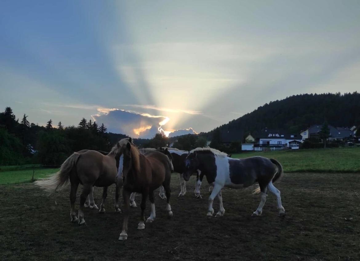 Ferienwohnung Am Tor Zum Thueringer Wald Plaue  Luaran gambar